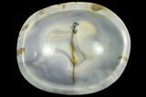 Polished Blue Agate Bowl - Madagascar #120181-1